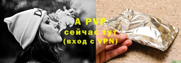 спайс Ладушкин