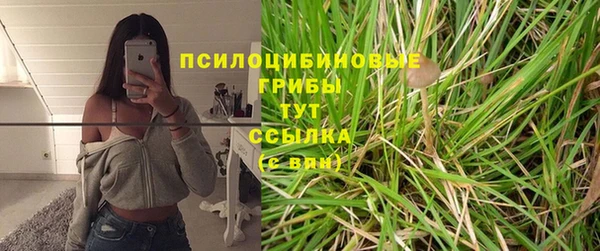 ГАЛЛЮЦИНОГЕННЫЕ ГРИБЫ Лагань