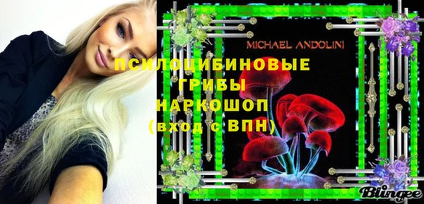 ГАЛЛЮЦИНОГЕННЫЕ ГРИБЫ Лагань