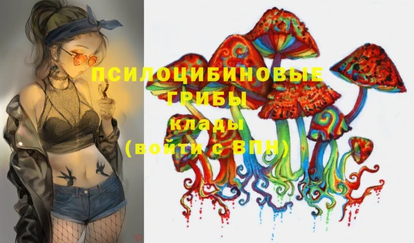спайс Ладушкин