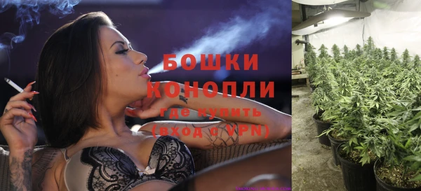 ГАЛЛЮЦИНОГЕННЫЕ ГРИБЫ Лагань