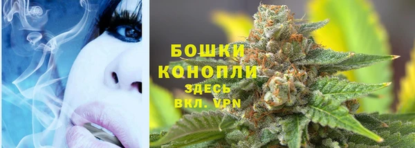спайс Ладушкин
