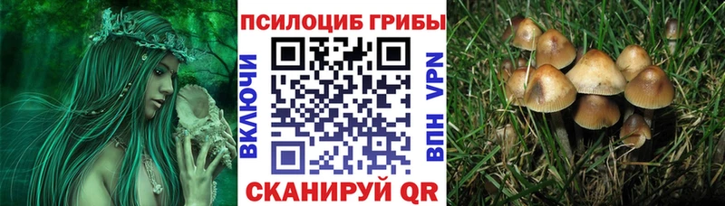 закладки  Невельск  маркетплейс наркотические препараты  Псилоцибиновые грибы прущие грибы 